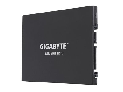  256Gb - GigaByte UD PRO GP-GSTFS30256GTTD