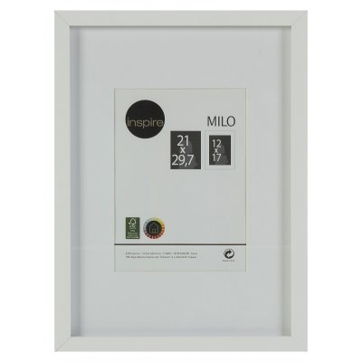  Inspire "Milo", 21  29.7 ,  