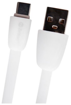  Zetton Flat Glossy USB - USB Type-C 1  