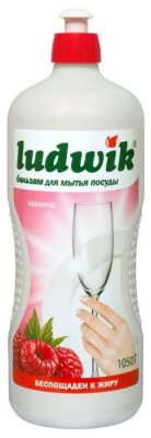     LUDWIK 