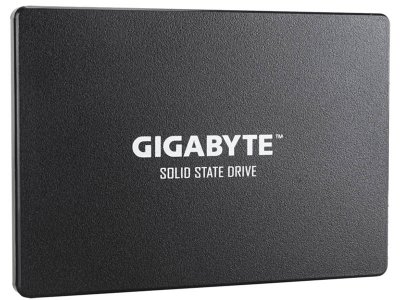   256Gb - GigaByte GP-GSTFS31256GTND