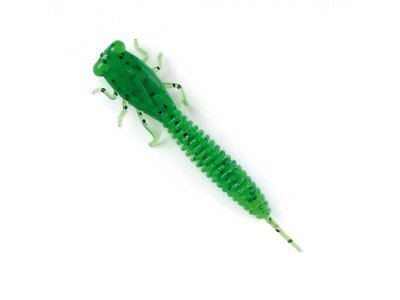  Fanatik X-Larva 3 6  026 02630XL