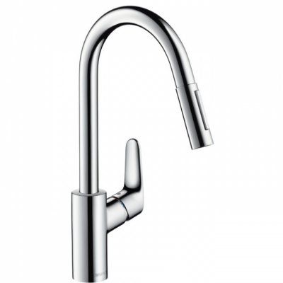    Hansgrohe Focus 31815800 