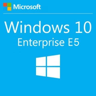   Microsoft Windows 10 Enterprise E5 Corporate,    Pro (