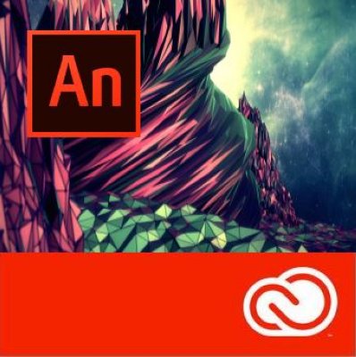  Adobe Animate CC / Flash Professional CC for teams 12 . Level 1 1-9 . Education Name