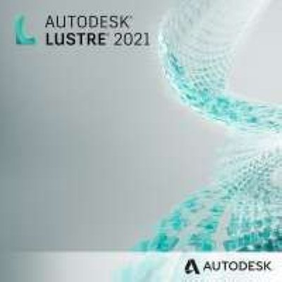  Autodesk Lustre 2021 Multi-user ELD Annual (1 )