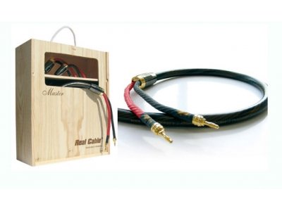   Real Cable HD TDC 600/2x3m