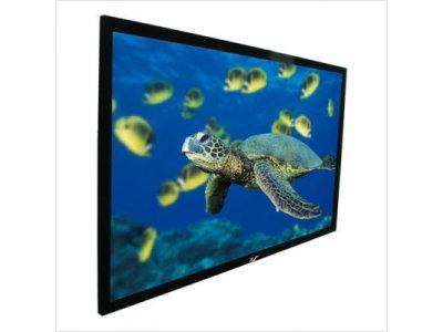   Elite Screens R100WH1 220  124 