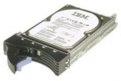 IBM 300GB 2.5 SFF SAS 15K 6Gb hot plug (81Y9891)   for DS3524 (1746A4S, 1746A4D) and EXP