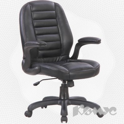  EChair CS-613C-4 ( , )