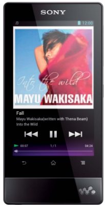 MP3  Sony NWZ-F804   FM , AAC, FLAC, PCM, WAV, WMA, H.264, MPEG4, WMV, WMV9,