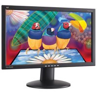  20" Viewsonic VA2013Wm black 16:9 5ms M/M TFT